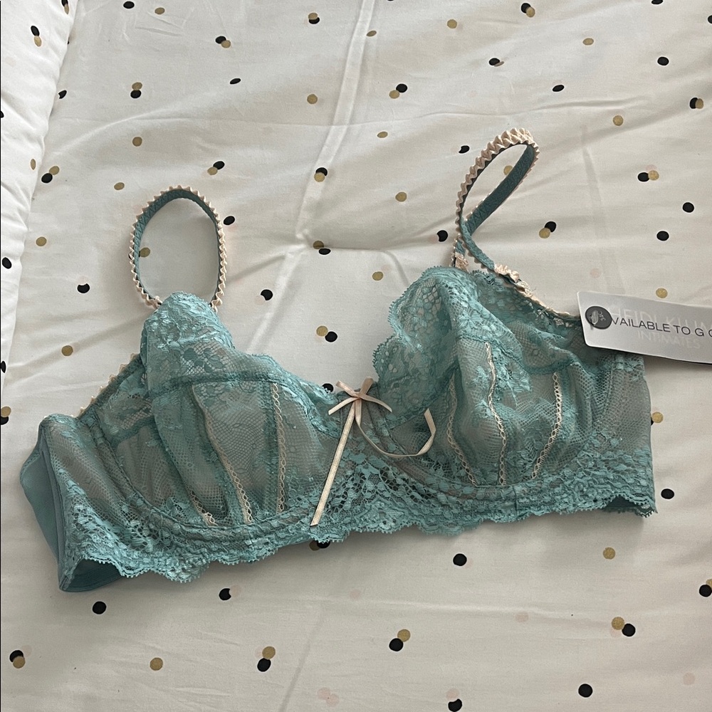 Heidi Klum Intimates Lace Bra in Aqua